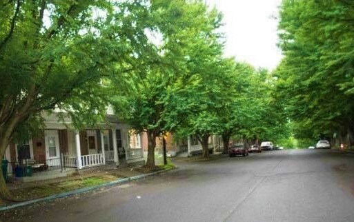 Primary Photo - 231 W. Fairview Street
