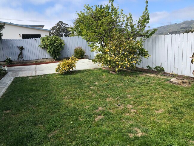 Backyard - 774 Camaritas Ave