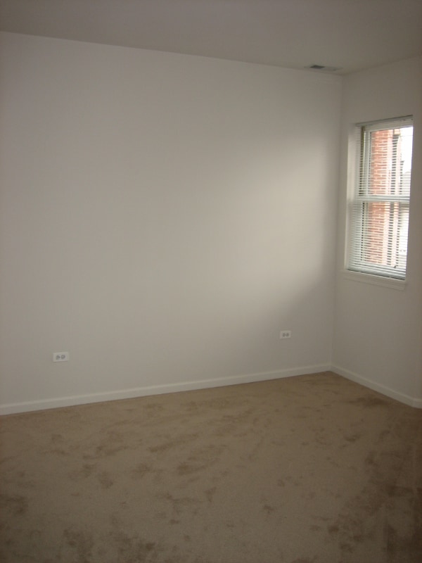 Primary Photo - 1451 S Halsted St