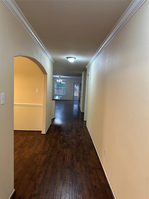 Foto del edificio - 3543 Jct Bend Ln