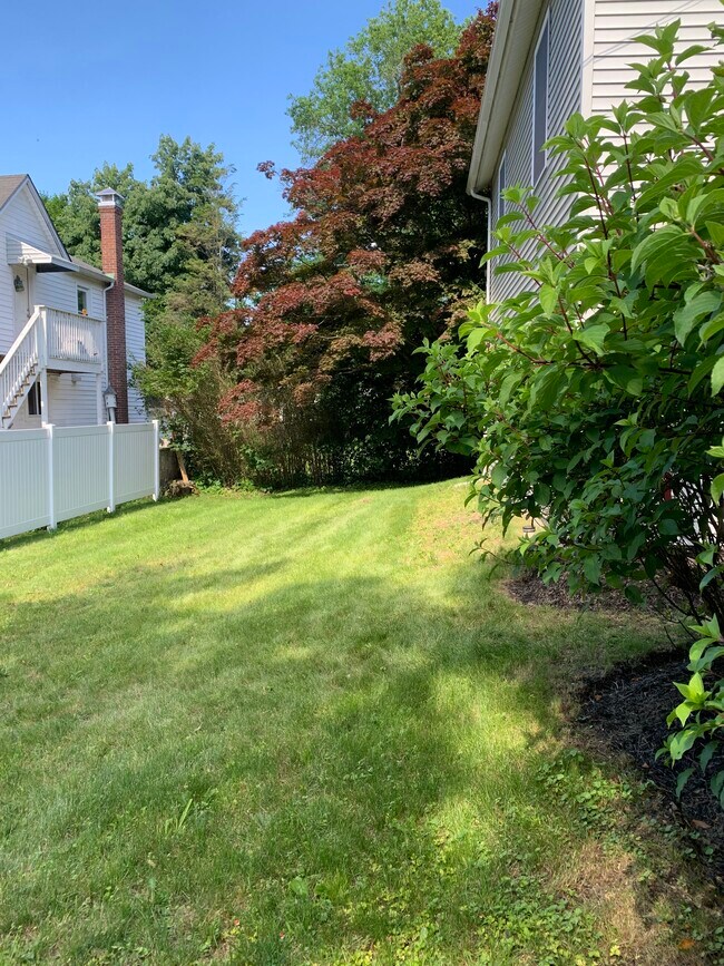 Fenced in back yard - 47 W Wooster St