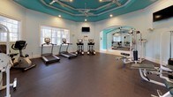 Located at 909 Penn Waller Rd in Savannah, Georgia, this fitness center is a well-equipped, single-floor facility designed to support a comprehensive workout experience. The space is immediately distinguished by its striking architectural details, including tiered tray ceilings painted in a bold teal hue, accented by white crown molding and recessed lighting. Ceiling fans are positioned throughout to maintain airflow and comfort during workouts.

The facility is organized across interconnected rooms linked by elegant arched doorways, creating a sense of openness and flow. Large mirrors line multiple walls, visually expanding the space and providing functional feedback for exercise form. Natural light filters in through multiple windows fitted with blinds, while glass double doors open to an outdoor area, offering views of the surrounding Savannah landscape.

The cardio section is well-stocked with TRUE brand treadmills, elliptical trainers, and a stationary bike. The strength training area features a variety of cable and weight machines, adjustable benches, and free weight equipment, providing options for both upper and lower body training. Rubber flooring throughout ensures safety and durability. Wall-mounted flat-screen televisions are positioned throughout the space for entertainment during workouts, completing this thoughtfully designed fitness facility.
