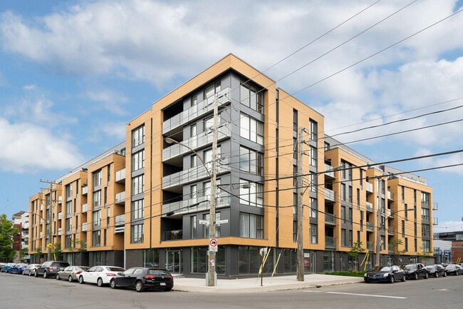 Building Photo - Carter On The Park Condo apartments Mile-Ex