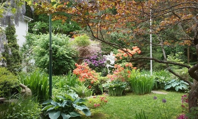 Back yard pond - 7 Linden Pl Apartments