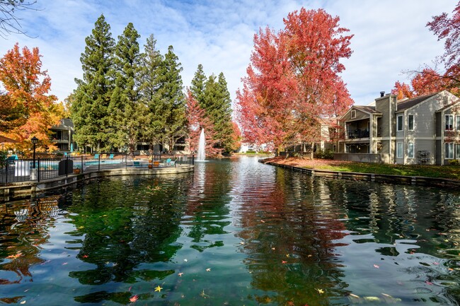 Foto del edificio - Harbor Oaks Apartments