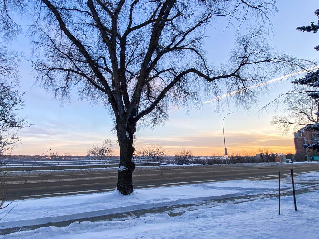 River Valley View Apartments 1 Apartments 8322 Jasper Ave NW Edmonton