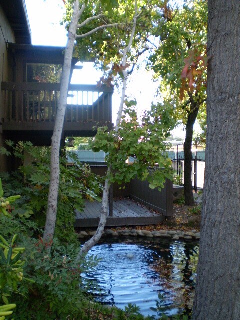 Foto del edificio - Stunning Timberlake Lodge Condo in Quiet Arden-Arcade Community!