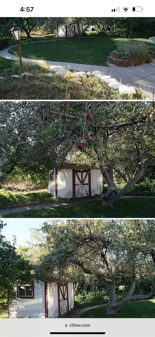 Fruit trees - 205 N 1050 E