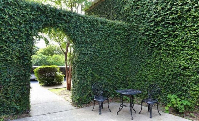 Foto del edificio - 6125 E Wonsley Dr
