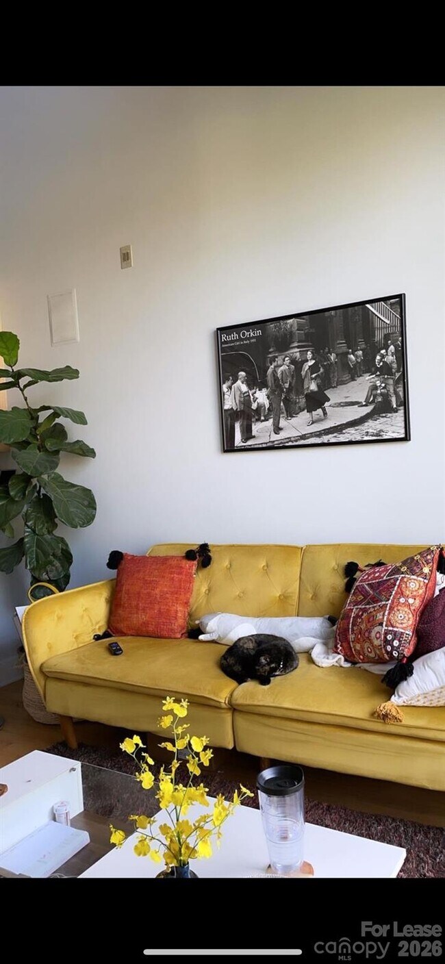 Foto del edificio - 115 E Park Ave