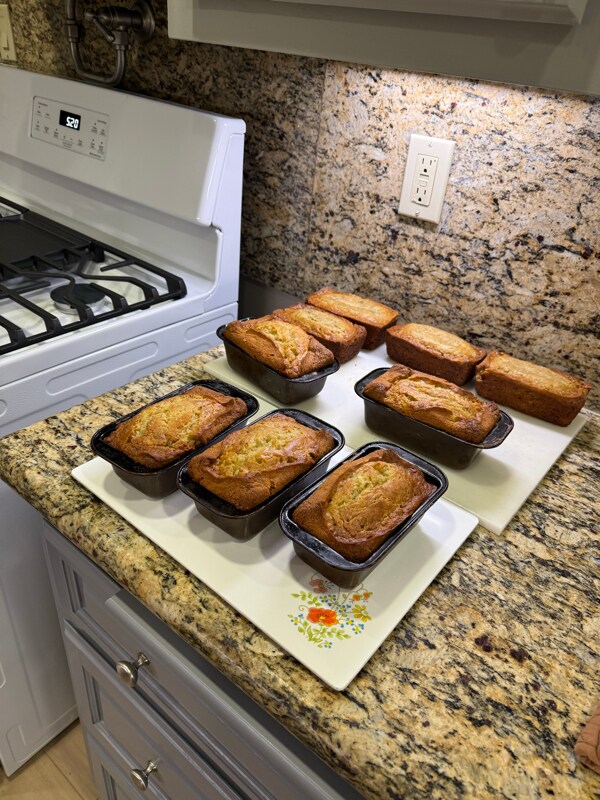 Foto del edificio - 6261 E El Paseo St