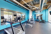 This fitness center in Medford, Massachusetts offers a thoughtfully designed workout space that balances functionality with an energizing aesthetic. The interior is defined by bold blue accent walls contrasted against crisp white surfaces, creating a vibrant and motivating atmosphere. An exposed industrial ceiling with visible ductwork, conduit, and linear lighting adds a modern, loft-like character to the space while contributing to its generous vertical volume.

Large floor-to-ceiling windows line one side of the room, flooding the interior with natural light and providing views of the surrounding neighborhood greenery. The durable rubber flooring throughout offers both safety and comfort underfoot. Strategically placed full-length mirrors visually expand the space and allow users to monitor their form during workouts.

The fitness center is well-stocked with a comprehensive range of equipment. Cardio offerings include treadmills, elliptical trainers, and a stationary bike. For strength training, the space features a multi-station cable machine, a dumbbell rack with a full set of free weights, and a weight bench. A wall-mounted flat-screen television provides entertainment during workouts. The layout allows for comfortable circulation between equipment, making this a practical and complete facility for a well-rounded fitness routine.