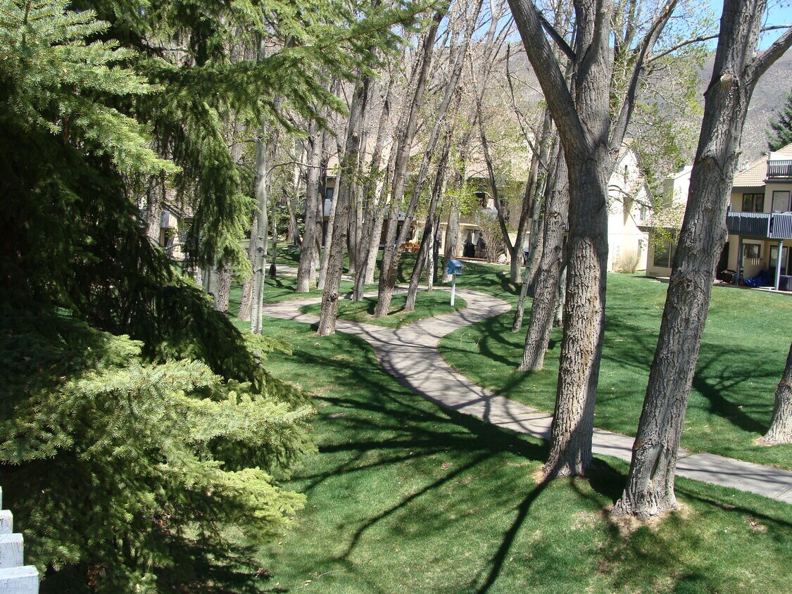 264 Eagle Dr Unit 202, Avon, CO 81620 Condo for Rent in Avon, CO