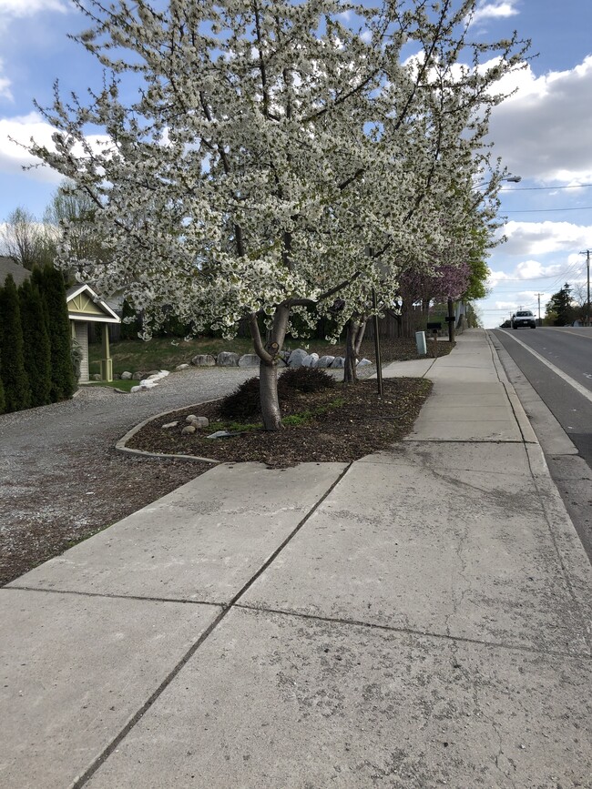 Entrance to driveway unit - 1027 S Evergreen Rd