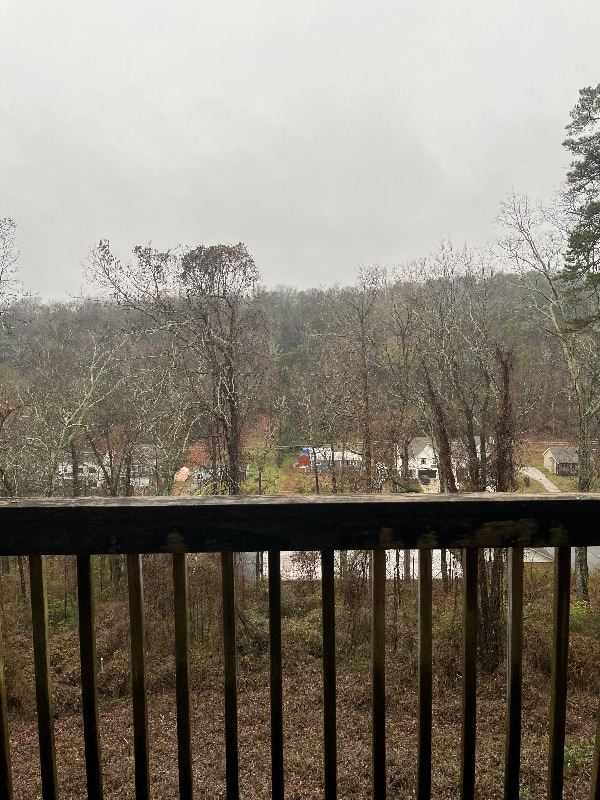 Building Photo - 143 Hendricks Blvd