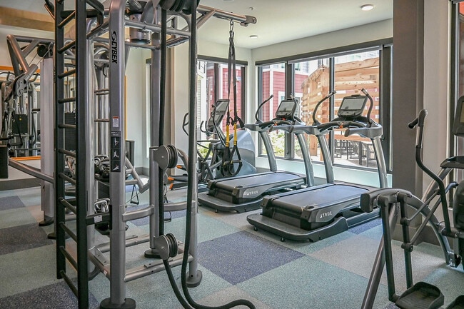 The Drake - 04 - The Drake