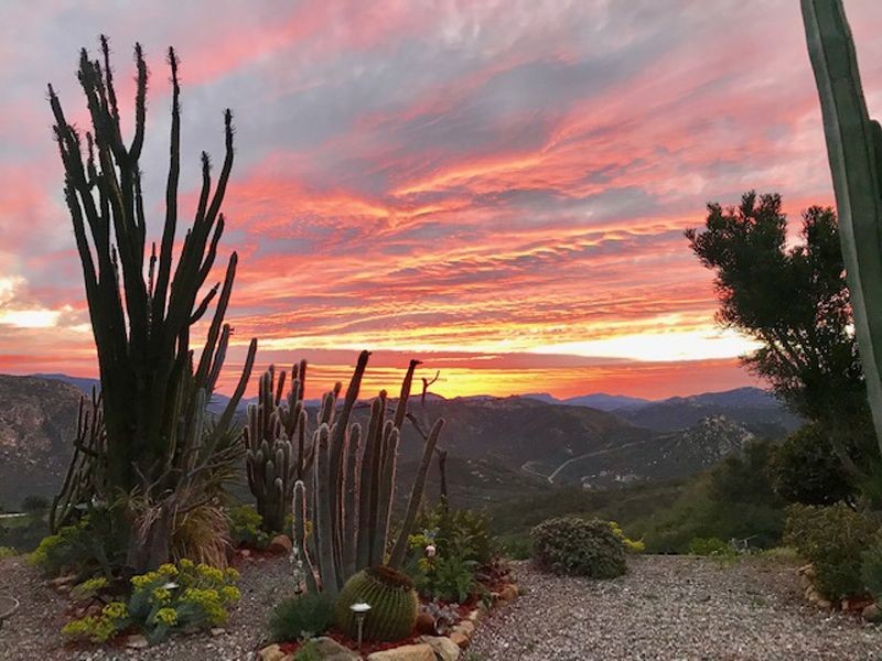 Foto principal - 970 Old Mountain View Rd