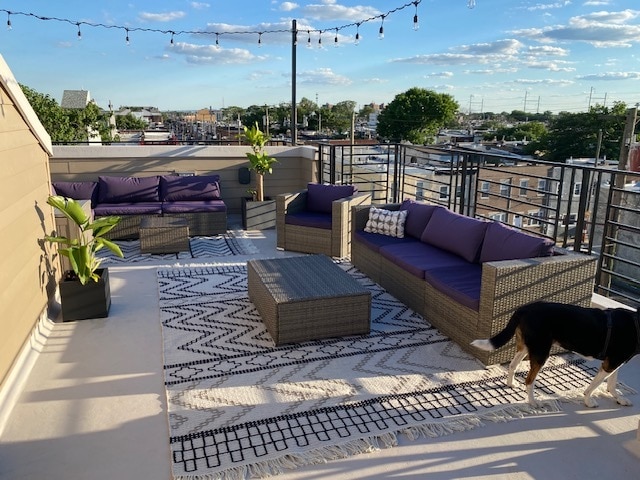 Private Rooftop Deck - 2256 Dickinson St