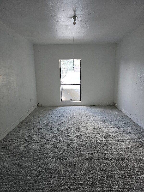 Foto del edificio - 548 Highfall Dr