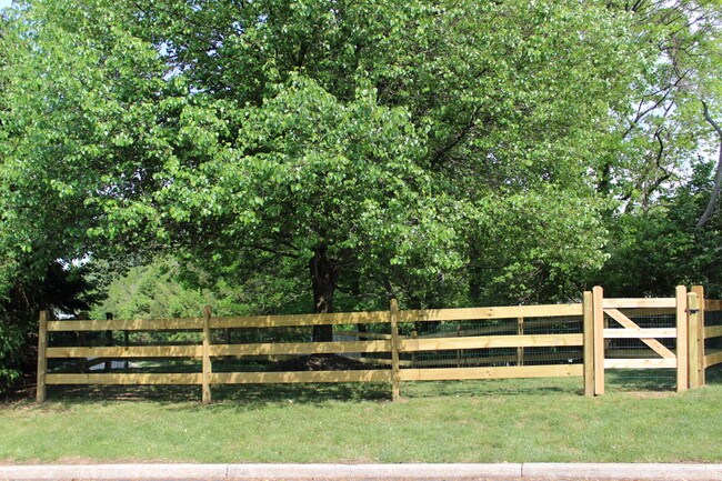 Parque para perros - Metropolitan Highgate