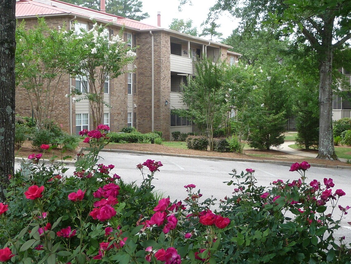 A tree-filled, peaceful condo community - 508 Patton Chapel Way