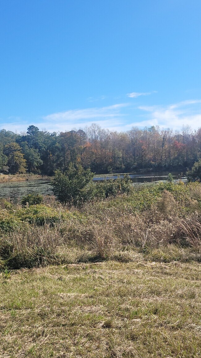 2 Raven Kemp Dr, Cordova, SC 29039 House Rental in Cordova, SC