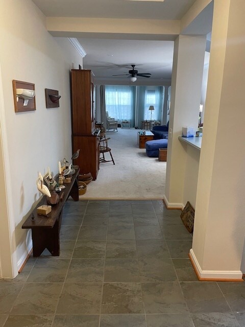 Building Photo - 700 Cattail Cv