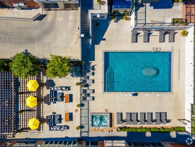 Piscina - Roaster's Block