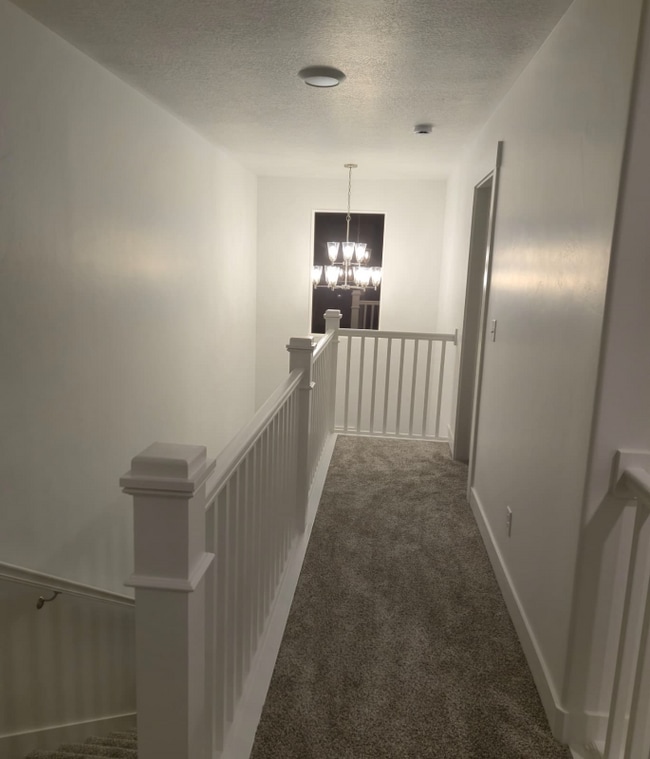Building Photo - 1083 Canvasback Dr