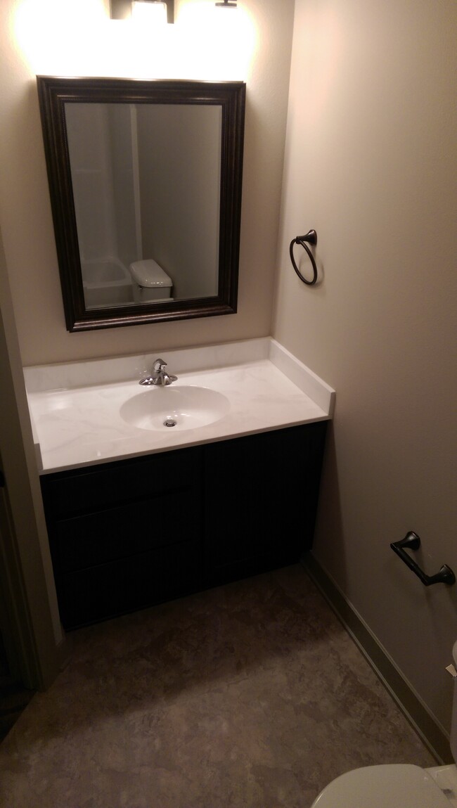 Basement master bedroom full bath vanity. - 3810 Marigold Drive