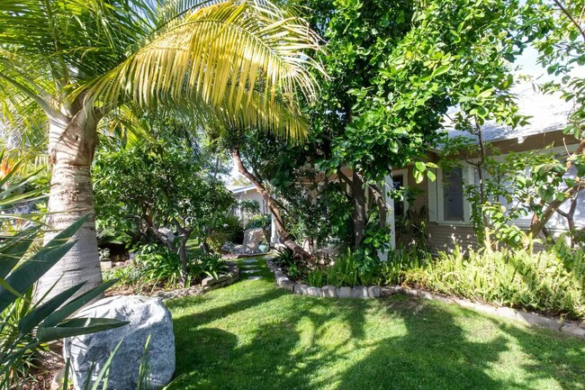 front yard - 136 N Lincoln Ave
