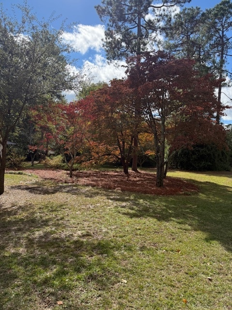 Building Photo - 1323 Salem Rd