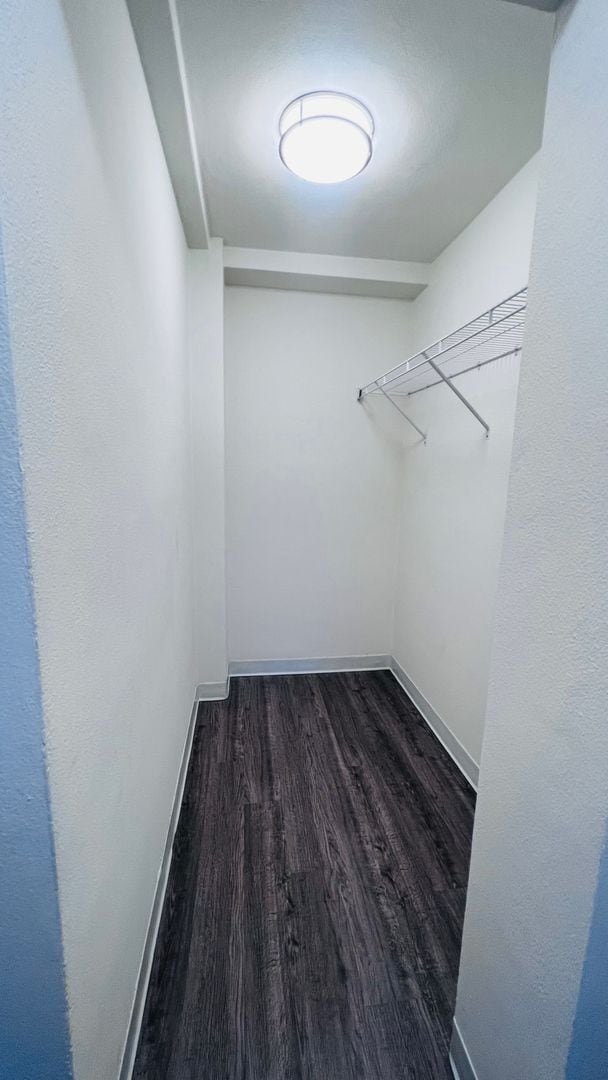 Interior Photo - Loring Park Flats