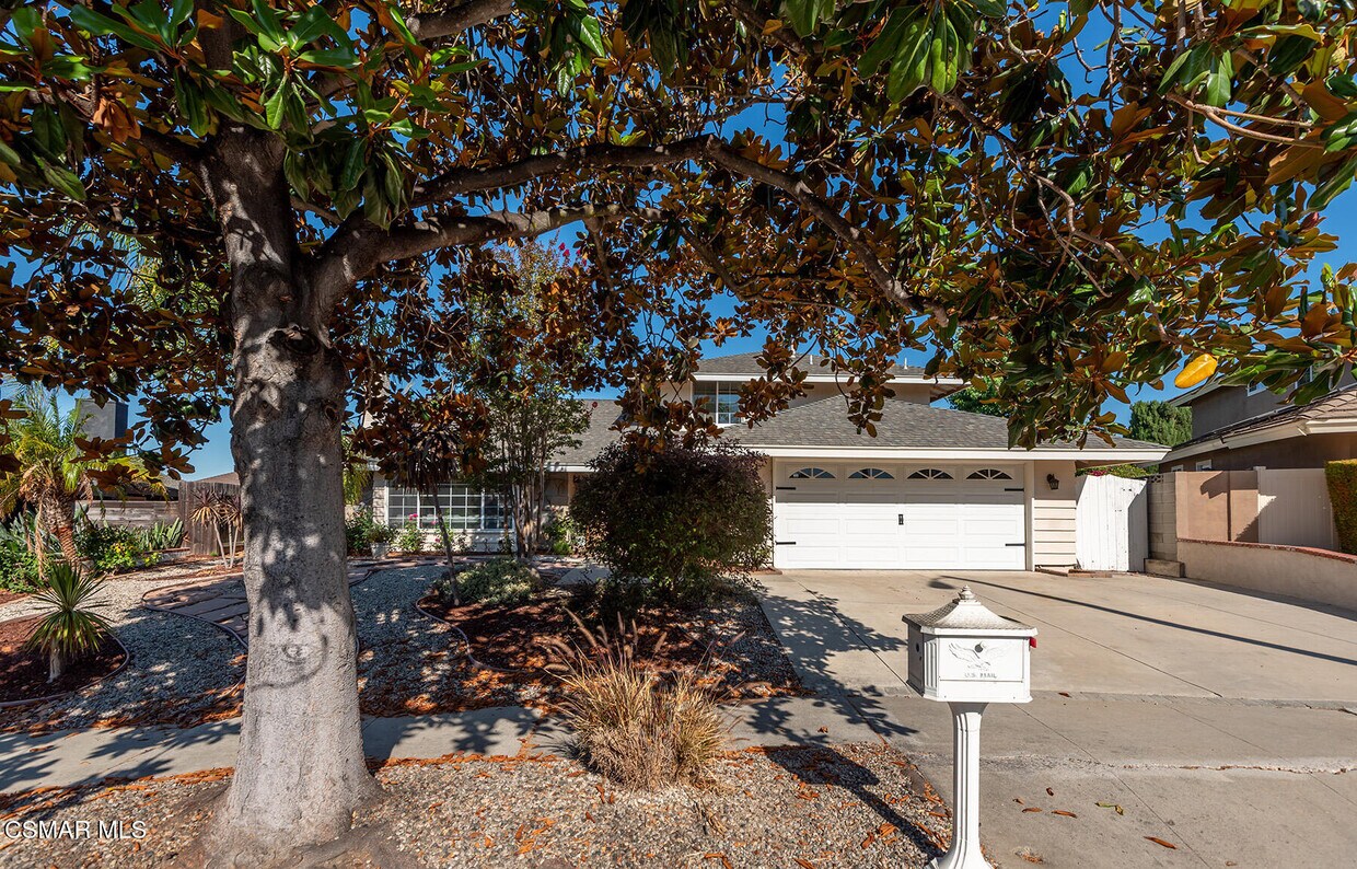 Primary Photo - 363 Larcom St