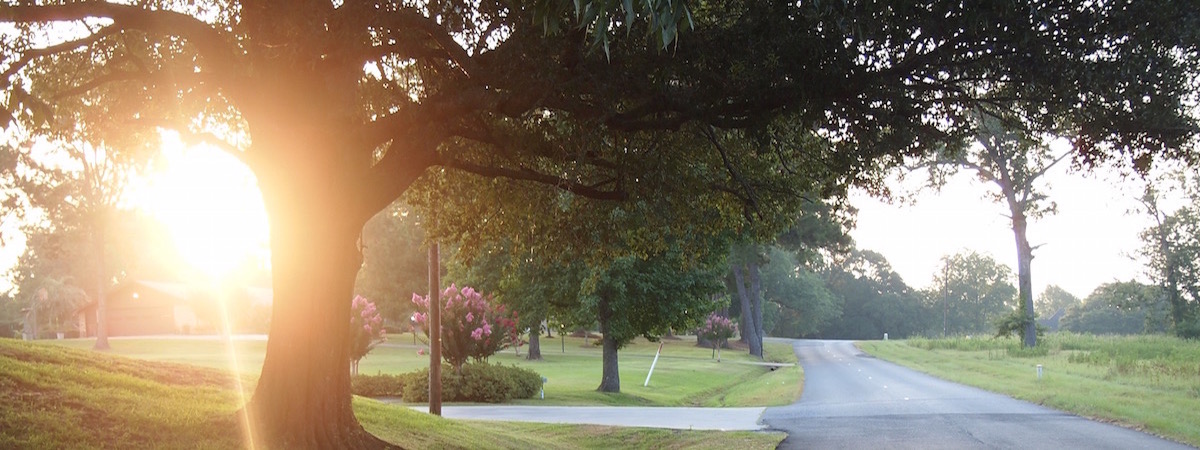 Primary Photo - Green Ridge Apartments