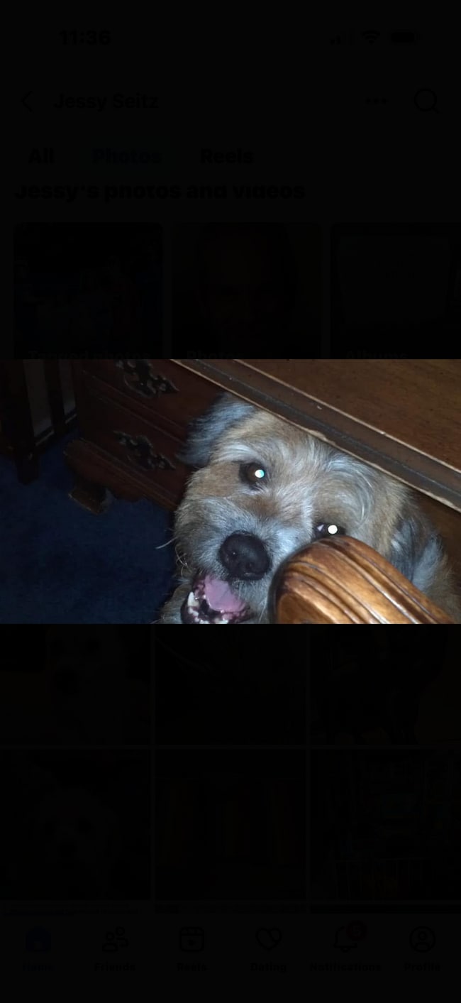 Building Photo - 12516 W Torquay Rd