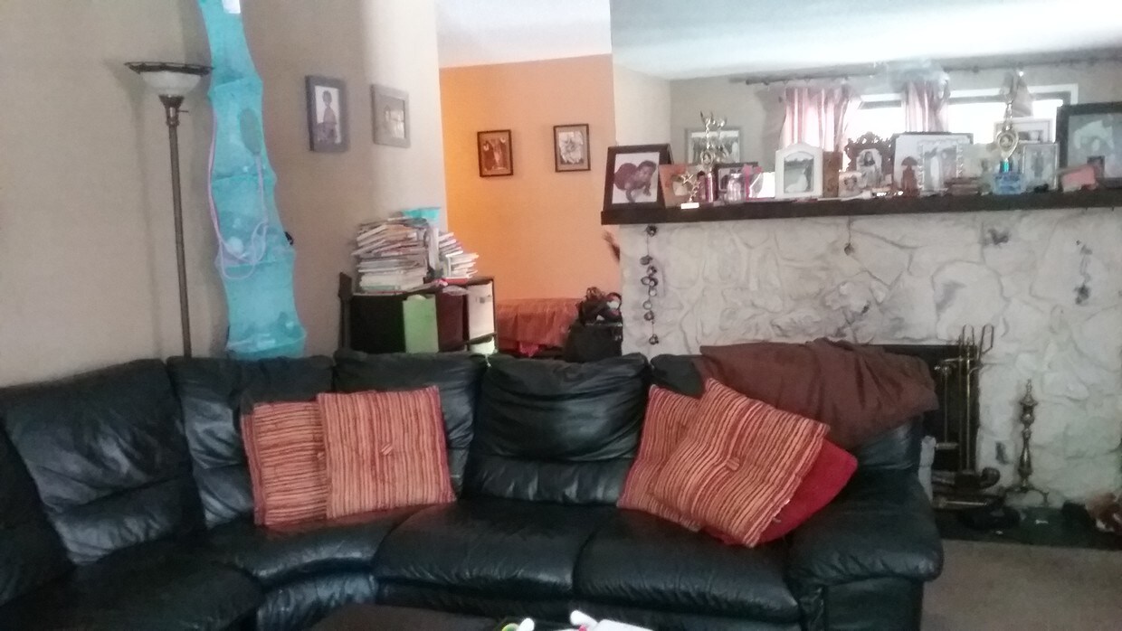 Sala de estar/chimenea - 8 Briarcliff Dr S