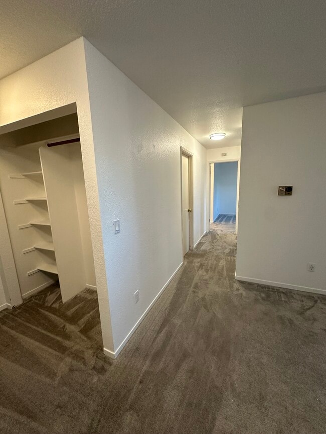 Foto del edificio - 357 Lighthouse Dr