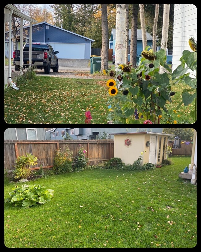 Yard - 2439 Ronny Plz Apartments