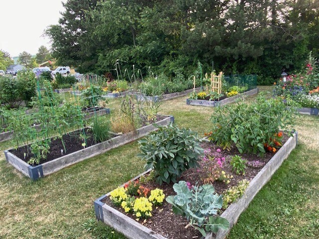 Community garden with hose - 148 Breakwater Dr