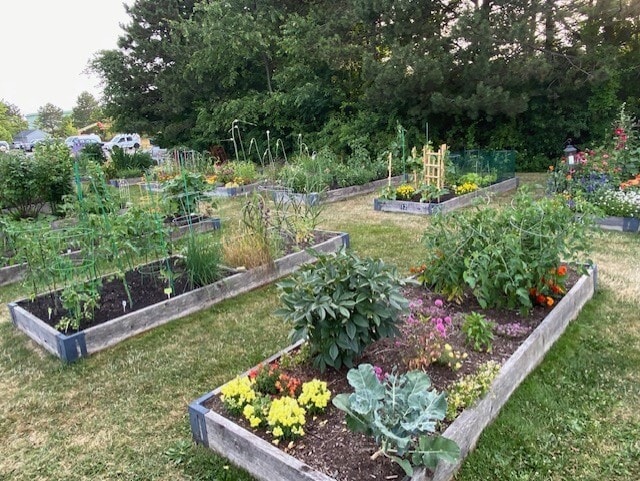 Community garden with hose - 148 Breakwater Dr
