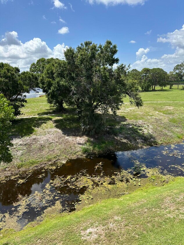 Foto principal - 2080 Greenview Shores Blvd