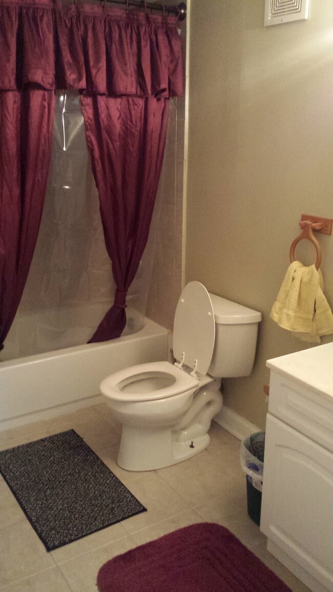 Baño principal - 614 Tralee Ct