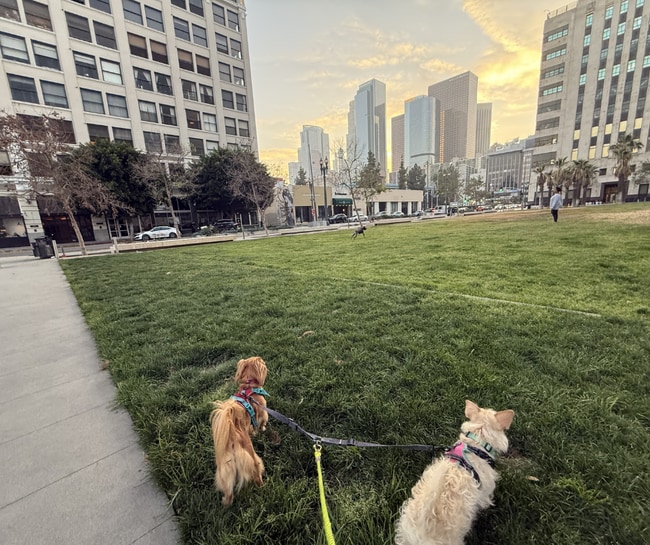 Dog park and grass right across the street! - 108 W 2nd St Apartment