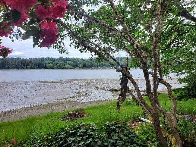 Foto del edificio - 2 Bedroom older home on the water