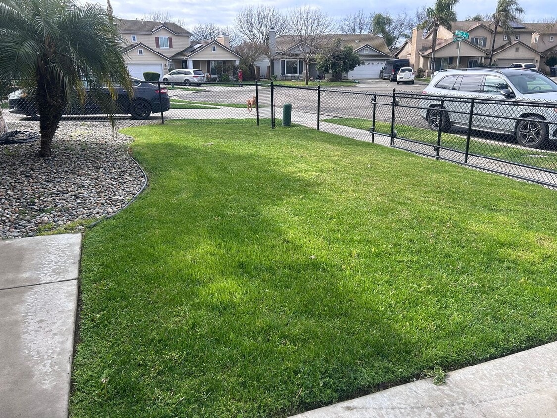 Foto del edificio - 3 bed 2 bath - South Visalia!