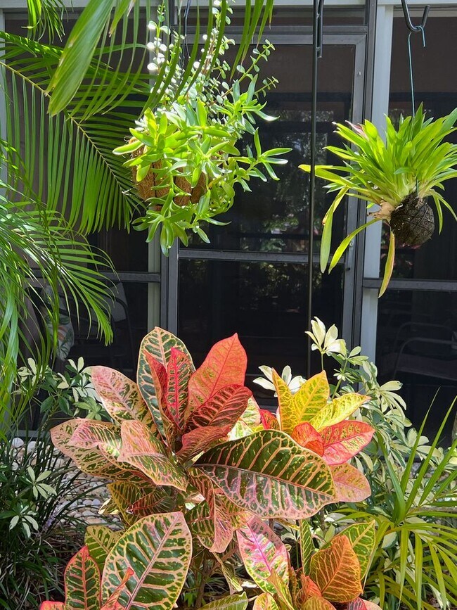 Foto del edificio - Rented for 2026 Season.  Call for off seas...