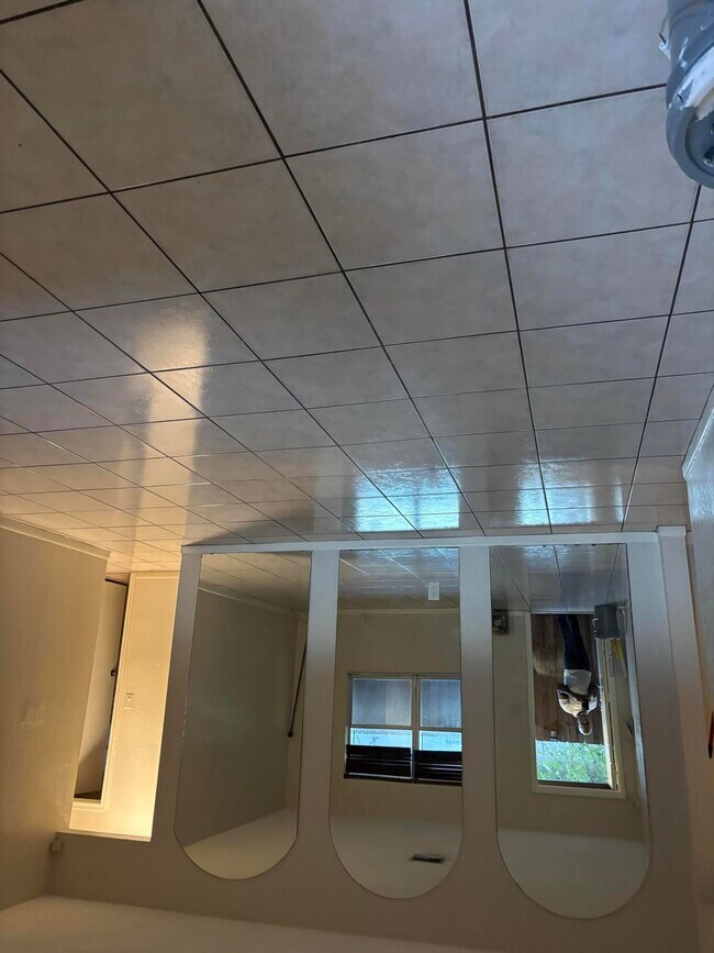Building Photo - 1827 Rodman St