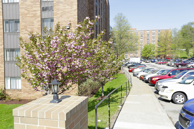 Building Photo - Douglas Plaza