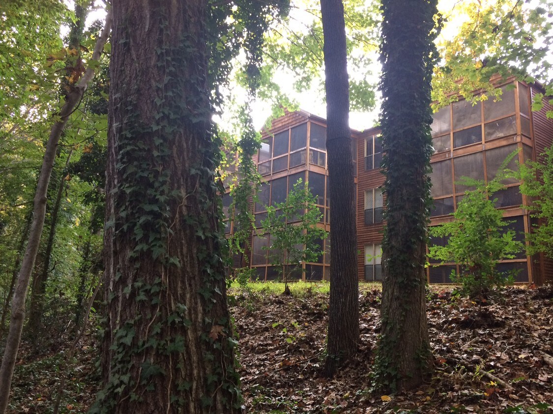 Wildwoods Of Lake Johnson Apartments Raleigh, NC